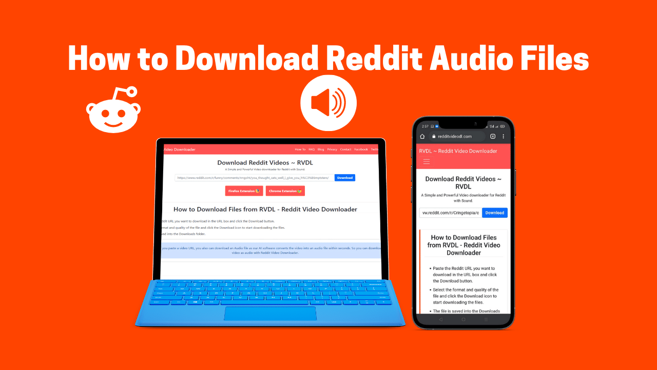 Reddit Video Downloader Audio