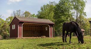 Sturdy Horse Shelters and Versatile Commercial Sheds in Oak Flats